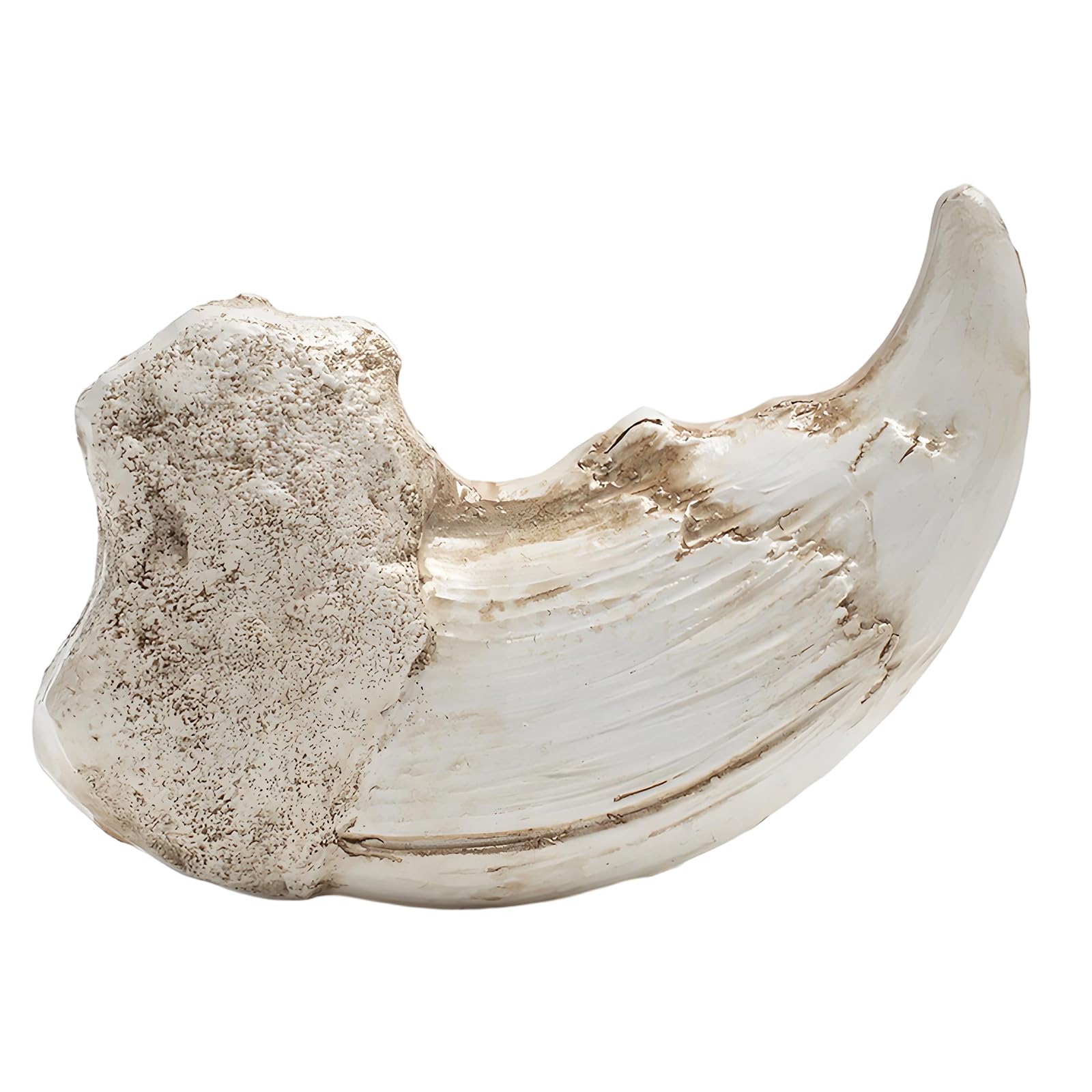 Resin Art Realistic Fossils Replicas for Home Decor and Ideas Miniature Resin Art