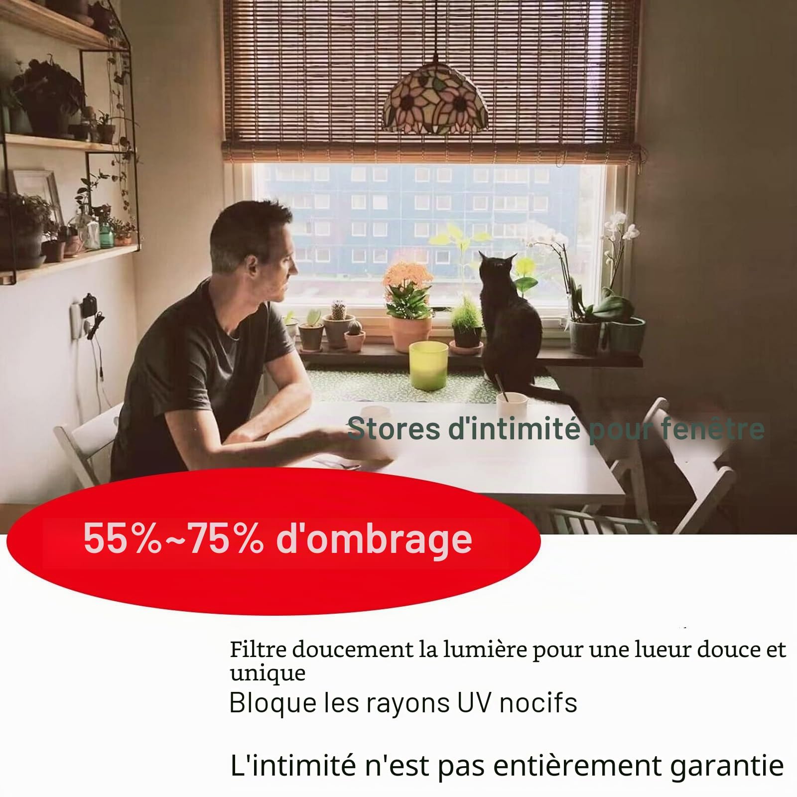 Store Enrouleur Bambou Exterieur 60x180cm 120x250cm, Stores Romains Sur Mesure, Rideaux Occultant Cuisine, Store Pare-Soleil Pour Terrasse, Store Anti-Regard En Bambou Pour Fenêtre/Porte(140 x 200 cm)