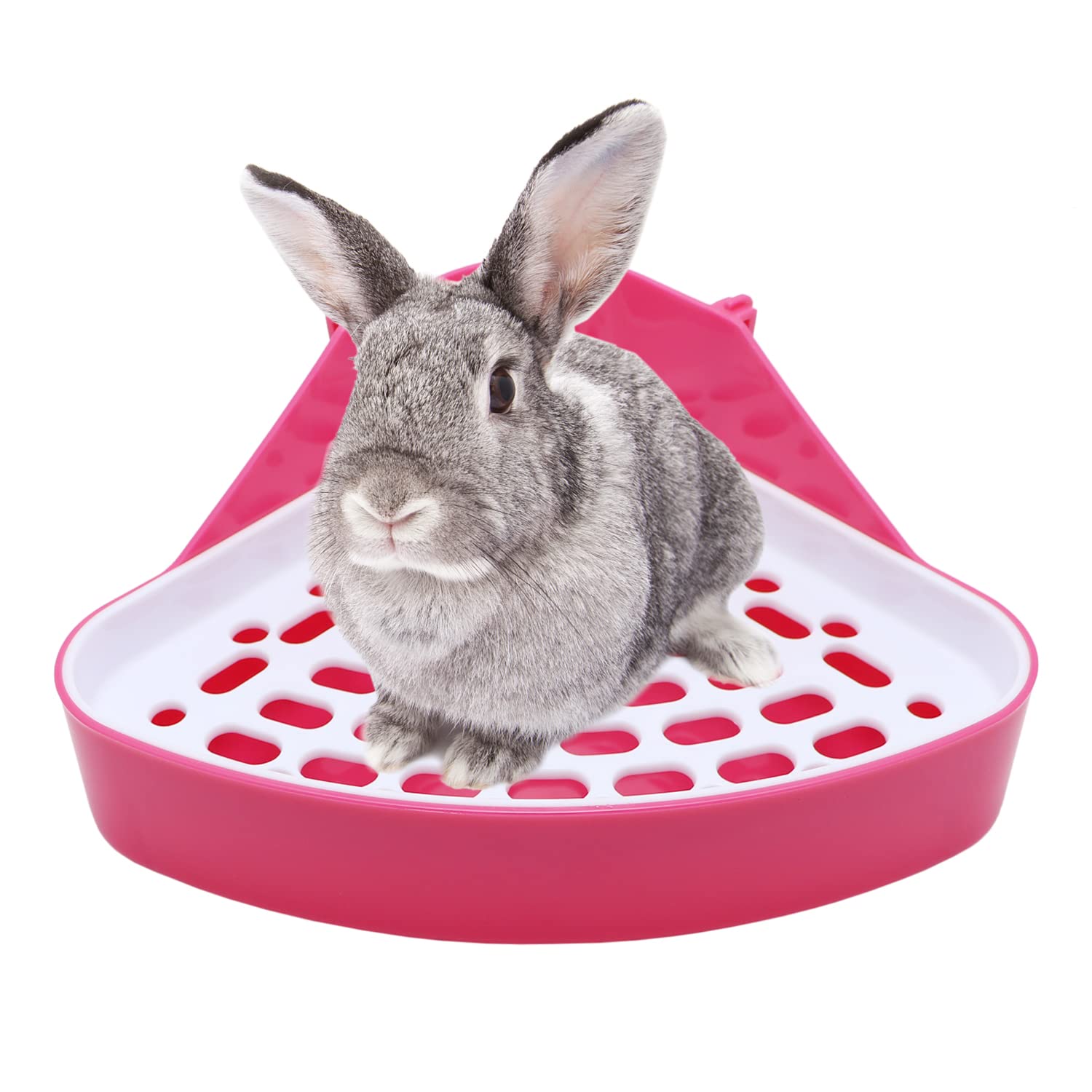 Indoor Rabbit Cage Can Rabbits Use Cat Litter Litiere Lapin Rabbit