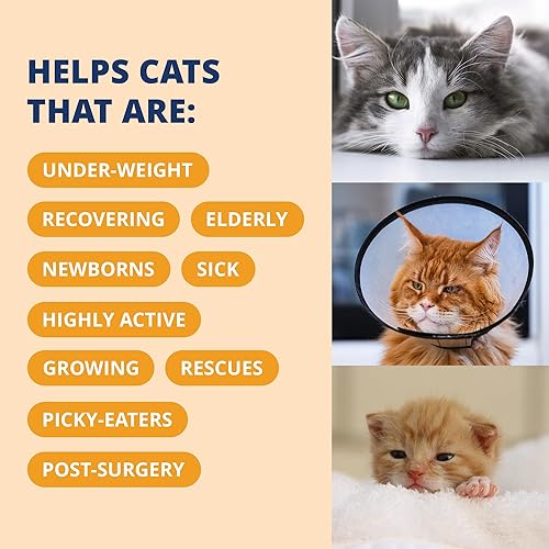 Vista 30 de Under The Weather Pet Cal listo para gatos de 100 cc Suplemento alto en calorías Ganador de peso para gatos y refuerzo alto en calorías 10