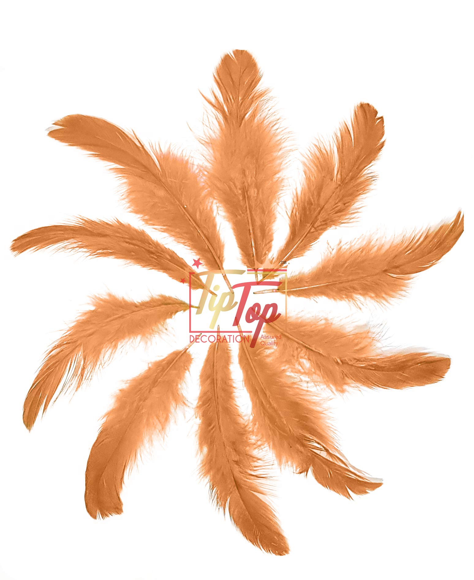 TIPTOP DECORATION Natural Dyed Feathers 10 cm (80 pieces) (Light Brown) 4