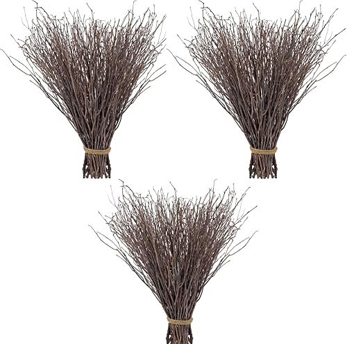 SHUESS 120 ramas de abedul seco natural, ramas de 16 pulgadas, plantas decorativas de abedul para jarrones, decoración artesanal de abedul para