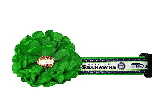 Seahawks Dog Collar