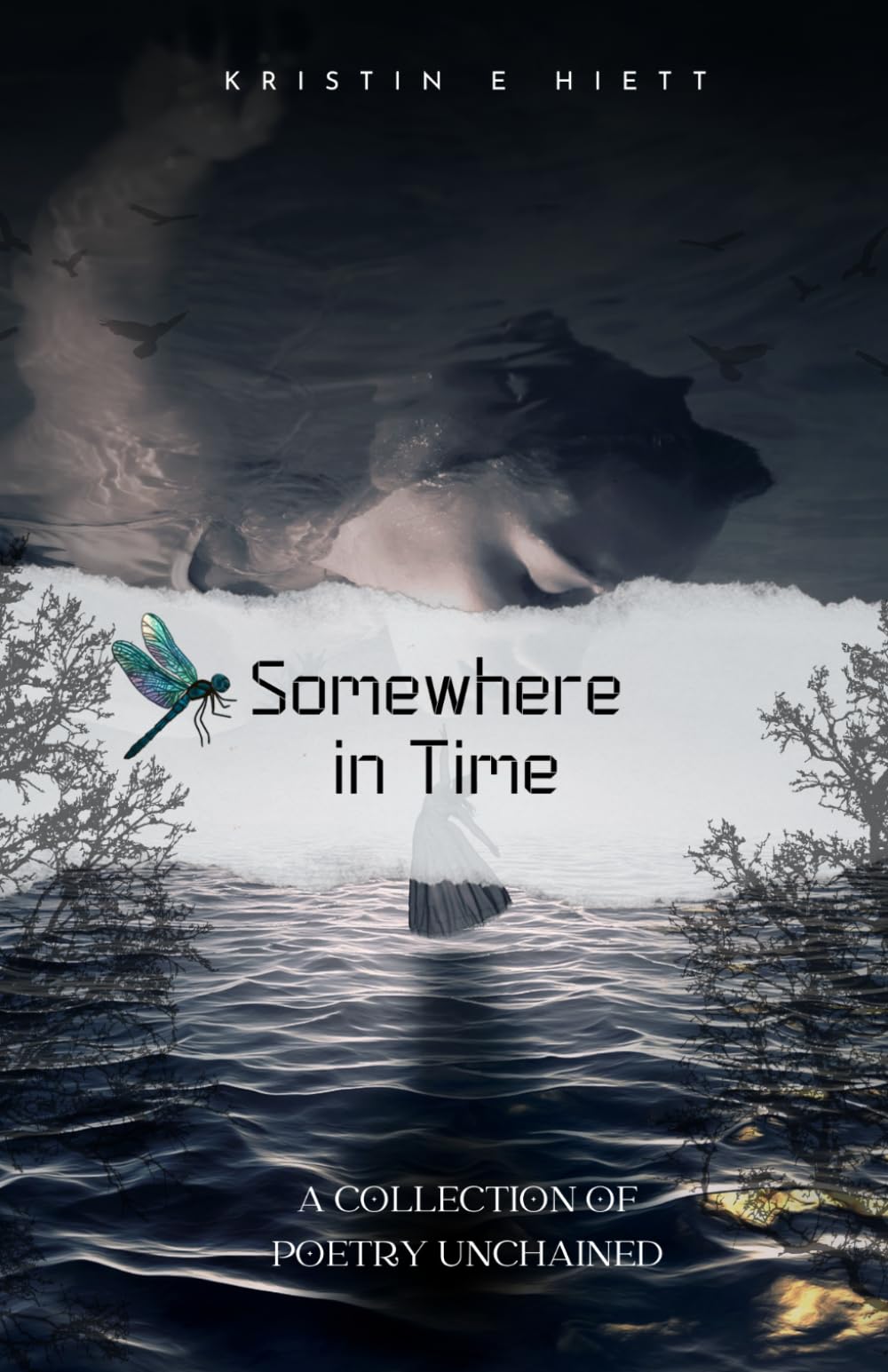 Somewhere In Time: A Collection of Poetry Unchained
