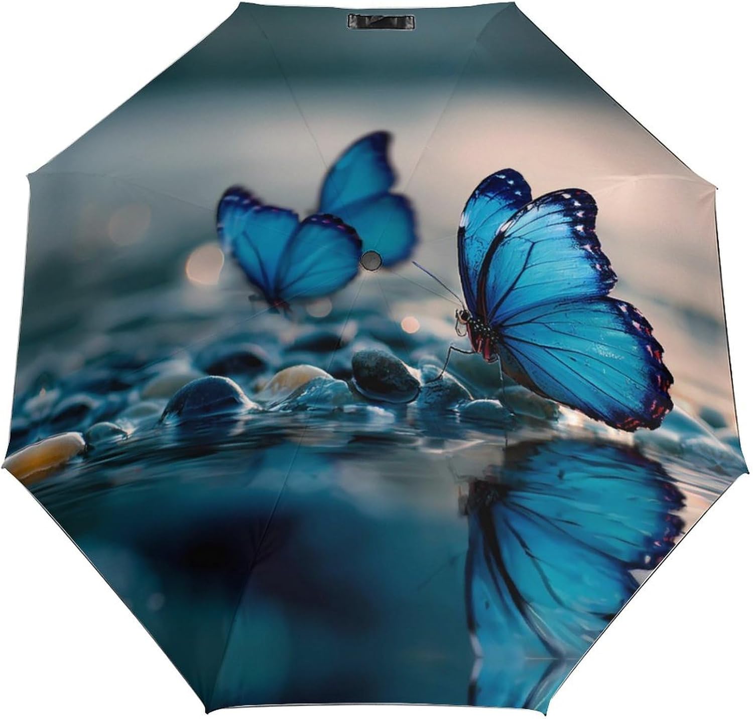 Blue Butterfly Travel Umbrella Portable Fold Parasol | Sun Rain Folding Parasol,Windproof Umbrella,Quick Dry,for Travel Work
