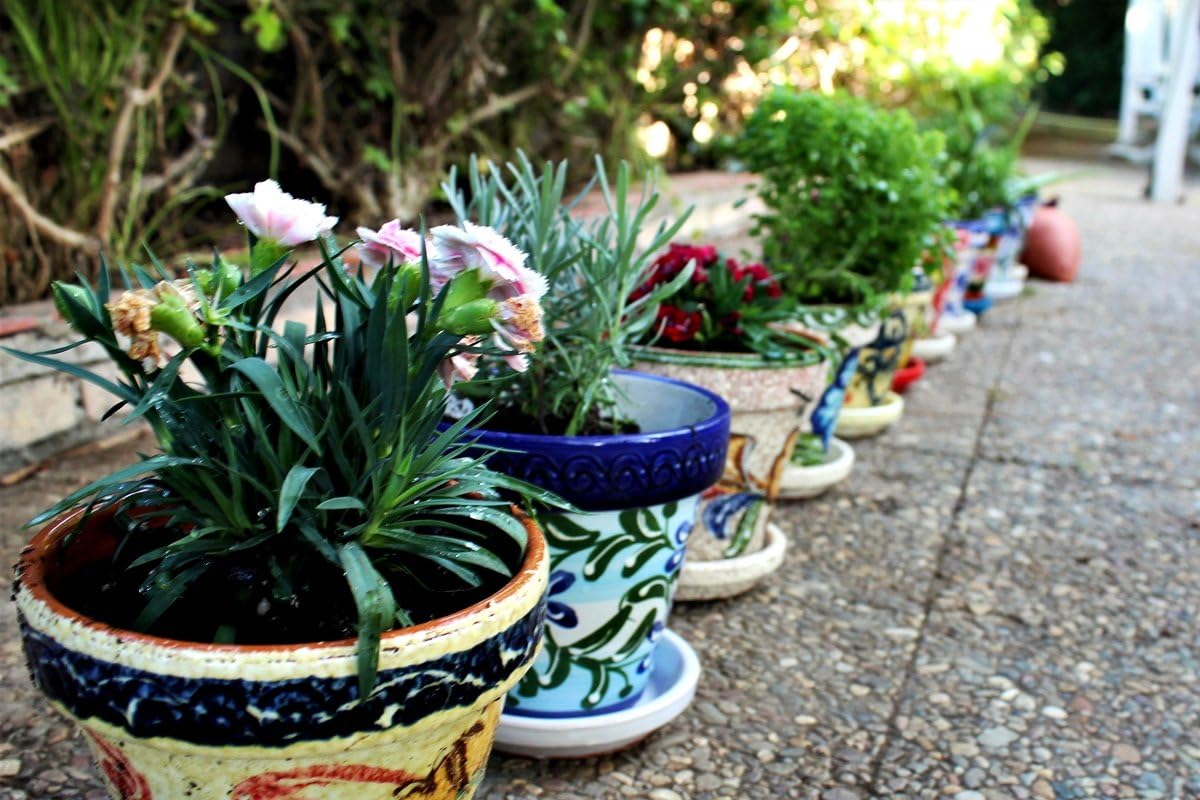 Cactus Canyon Ceramics Spanish Hand-Painted Flower Pot and Saucer, Spanish Flor Design