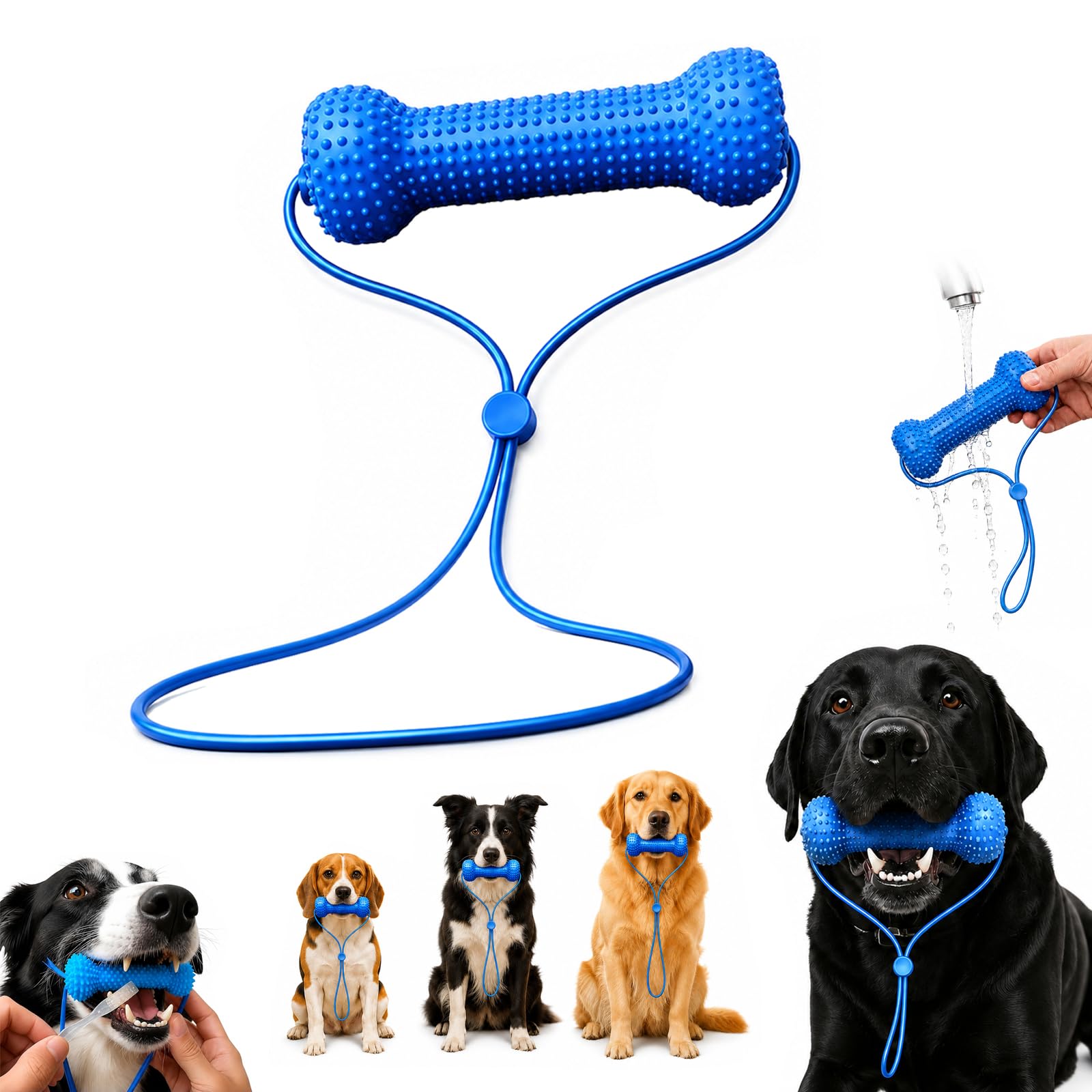 Dual-Action Canine Dental Prop, Dog Mouth Opener for Teeth Cleaning (1pcs)