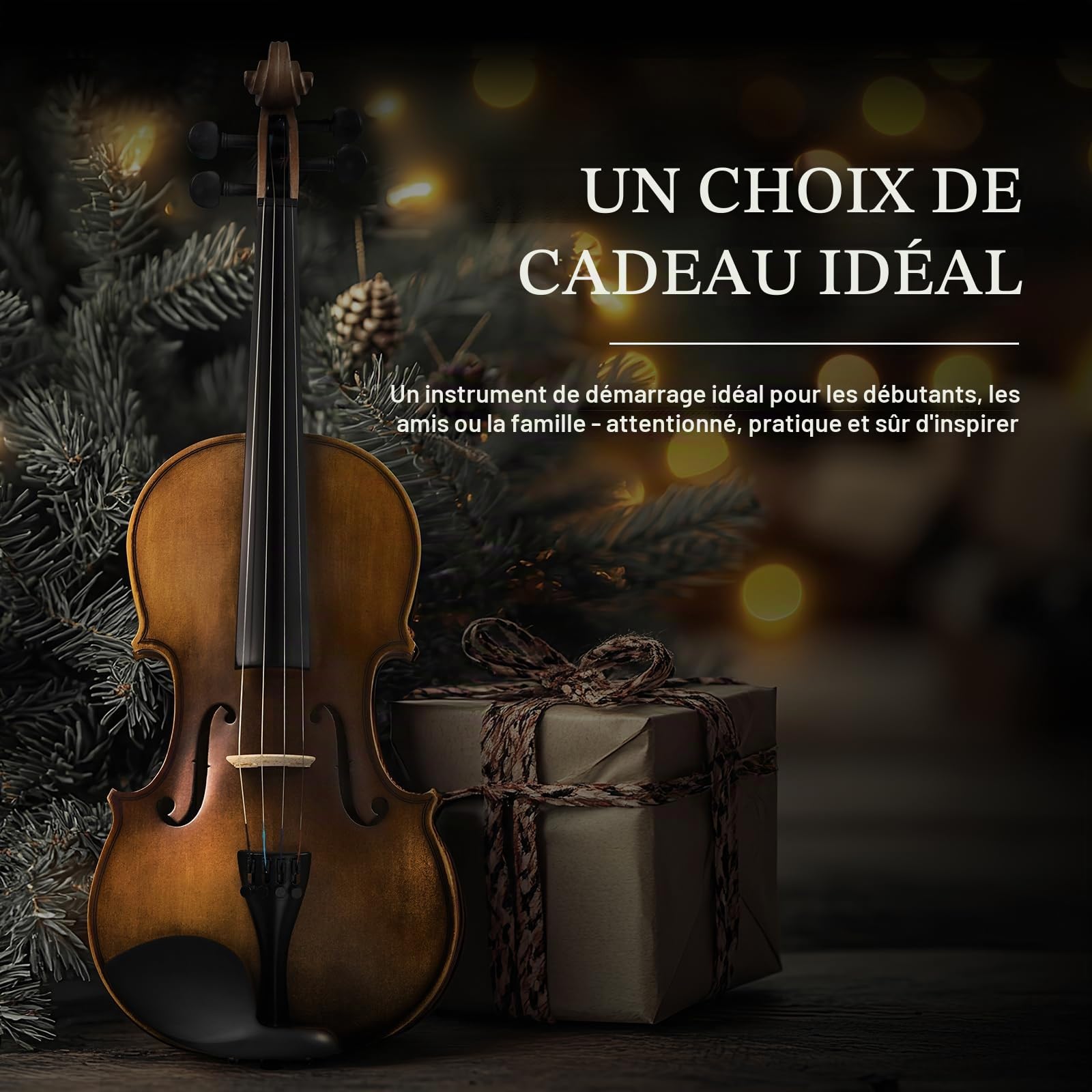 SONICAKE Violon 4/4 Bois Massif Set Complet avec Étui Rigide, Coussin, Colophane, Archets, Tuner Pince & Cordes Supplémentaires