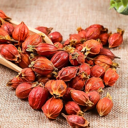 Vista 2 de Gardenia JasminoidesFruta de Gardenia; Gardenia; Jazmín del Cabo; Jazmín; Fructus Gardeniae; Zhi Zi; Gardenia seca; Té Gardenia Jasminoides