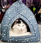 Review Image by Star Star