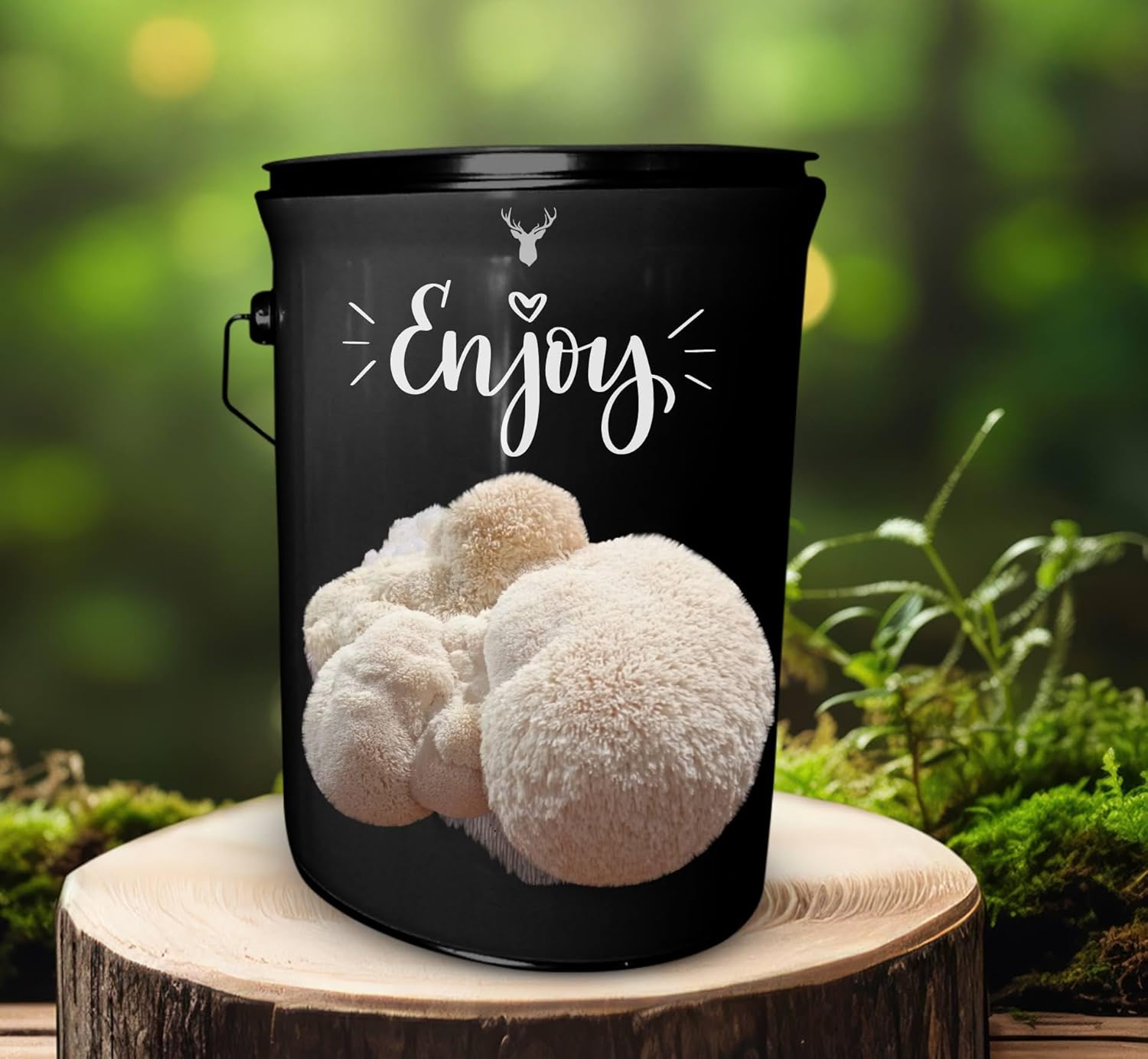 Enjoy Lion's Mane Mushroom Grow Kit - A Delightful Gift for Any Occasion