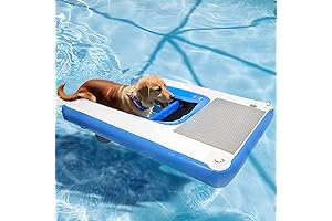 Inflatable Water Ramp for Dogs