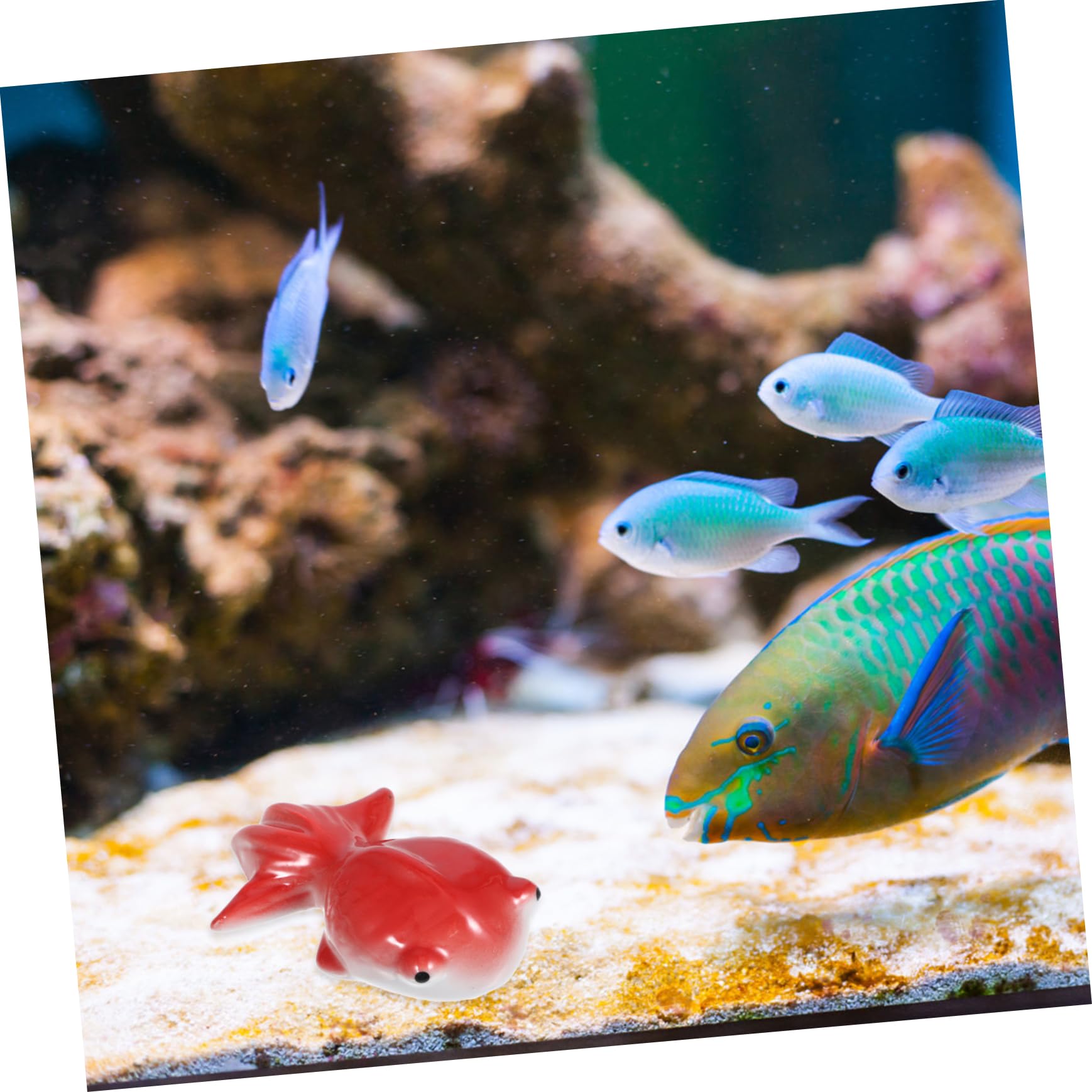 Cabilock 4 Piezas Baratijas De Cerámica Decoraciones De Peces Flotantes para Peceras Accesorio De Diseño De Acuario Adorno De Peces De Acuario Modelo De Falso Pecera Estatuilla Animal