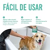Ver la foto 6