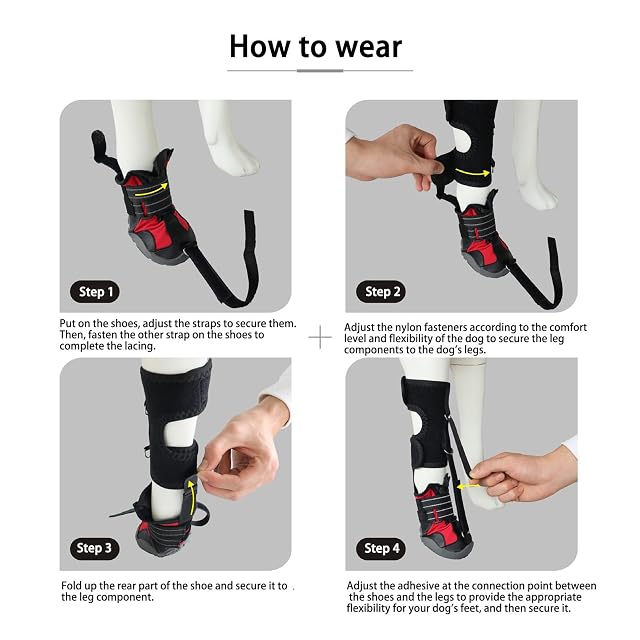 Foto 5 de 8 de Zapatos correctivos para perros Pitadue con carrete para arrastrar las patas