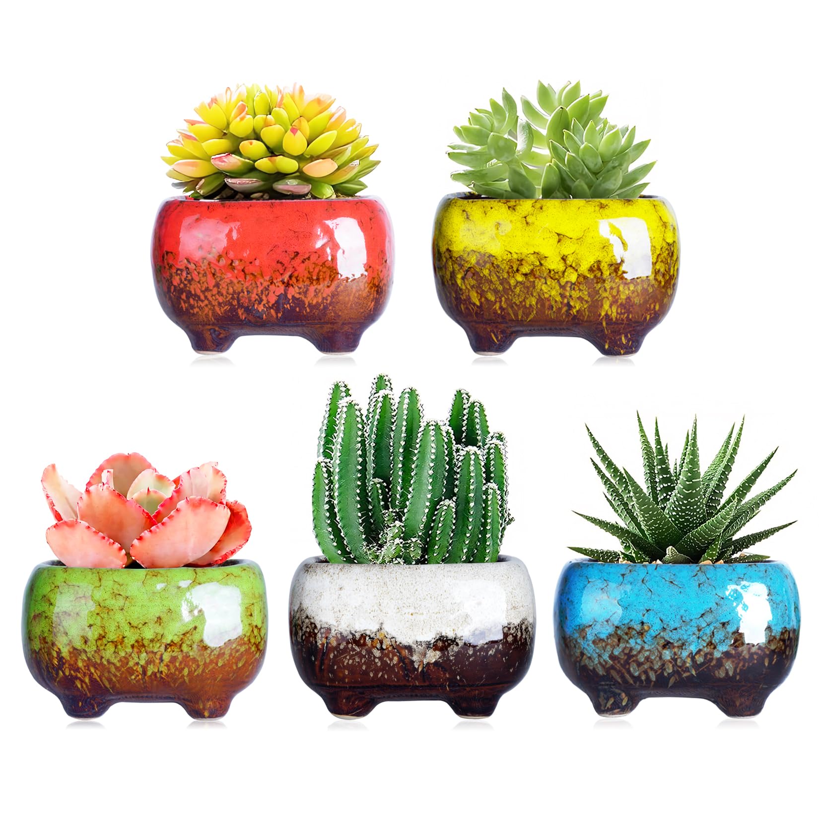 多肉植物セット 中型・小型鉢*4 Amazon | ARTKETTY 12CM 多肉鉢 多肉植物 陶器鉢 サボテン 鉢