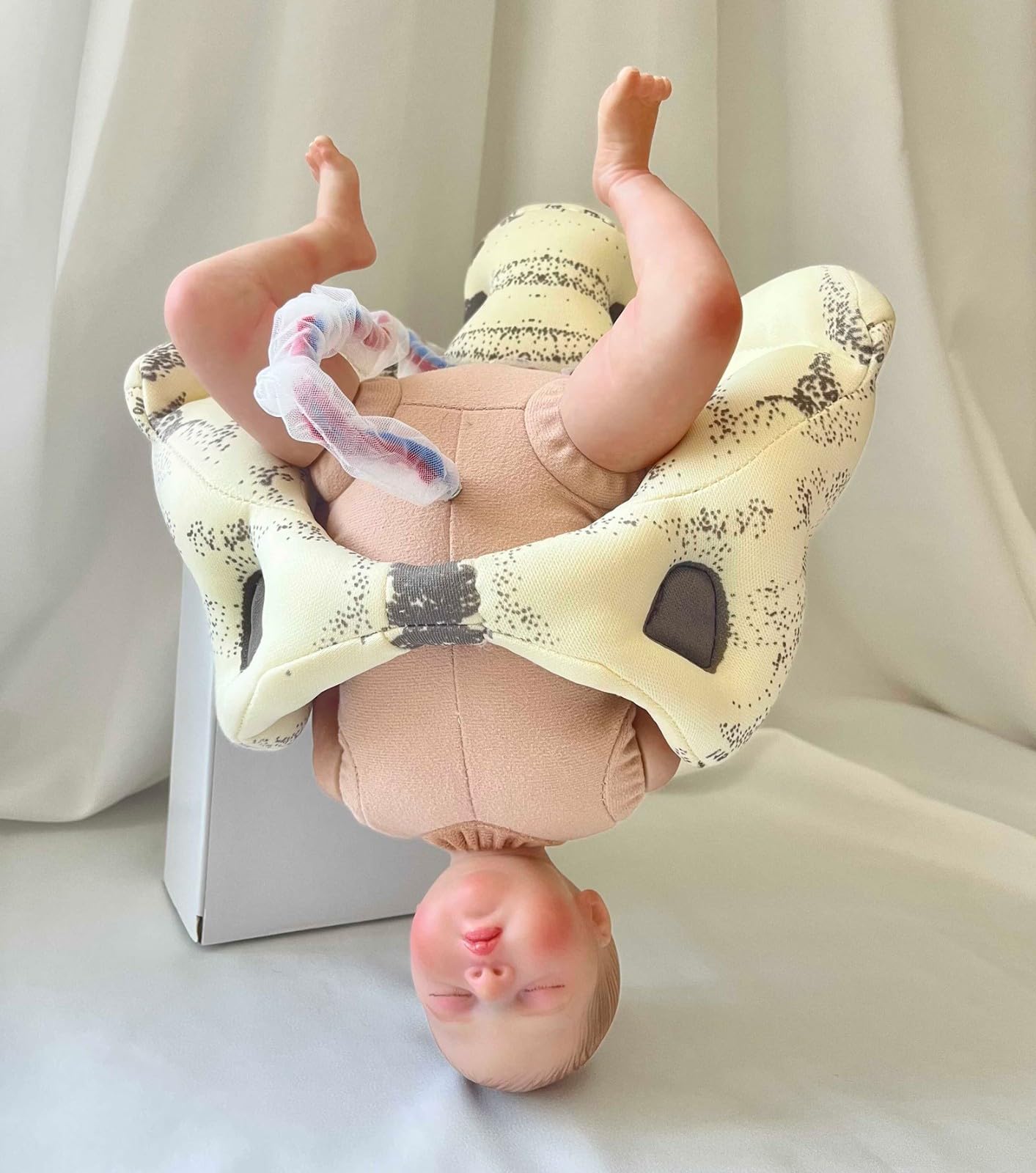 Outil de simulation d'accouchement : mini-bassin féminin, modèle de bébé avec fœtus, cordon ombilical et placenta. Simulateur de démonstration d'accouchement pour études médicales et enseignement.