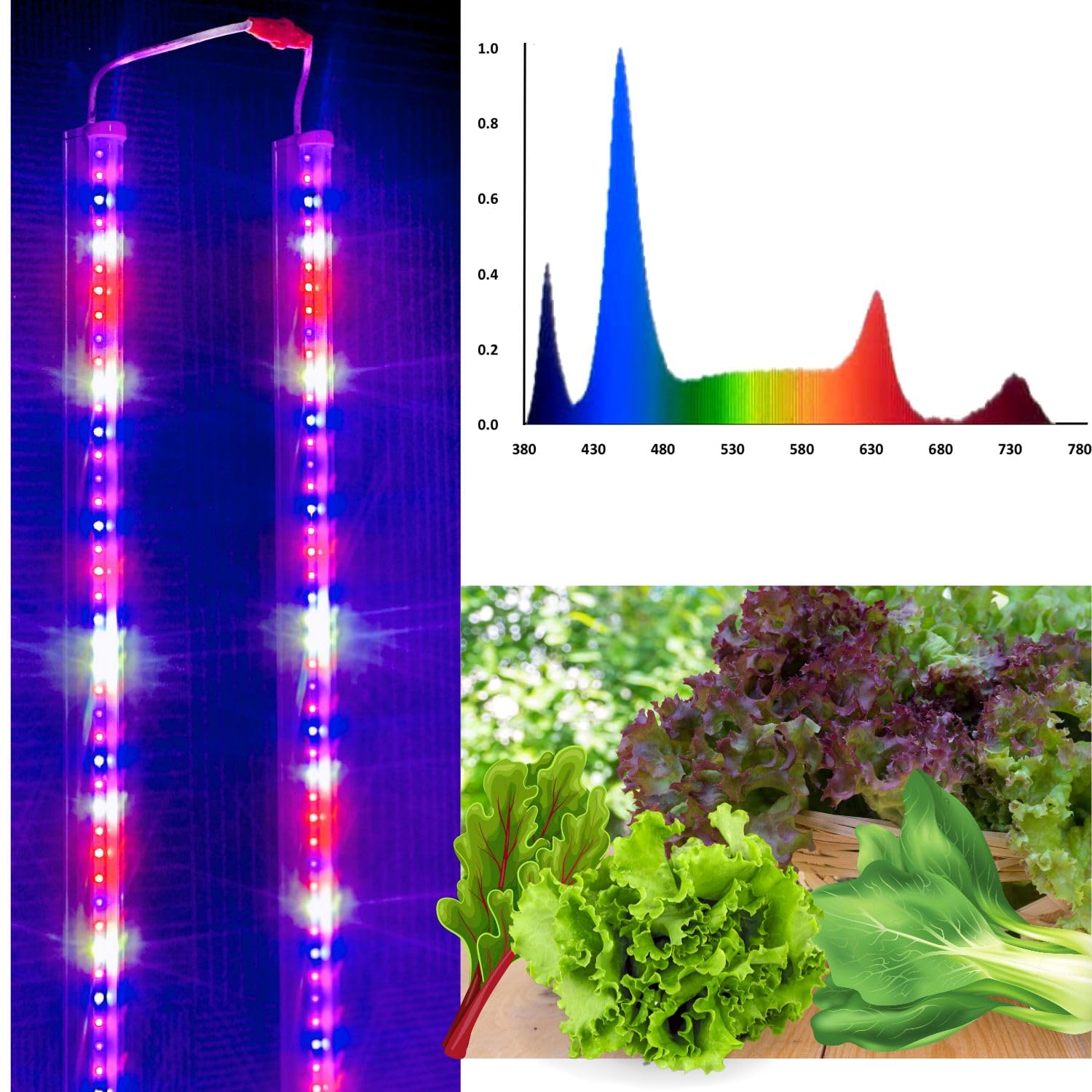 City Greens 20W PAR Spectrum (Pack of 2) Coloured Led Grow Lights for