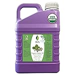 SVA Castor Seed Oil Organic - 32 Fl Oz - 100% Natural Cold Pressed Organic Castor Oil - for Face, Skin Care, Hair Care, Scalp Massage & Body Massage