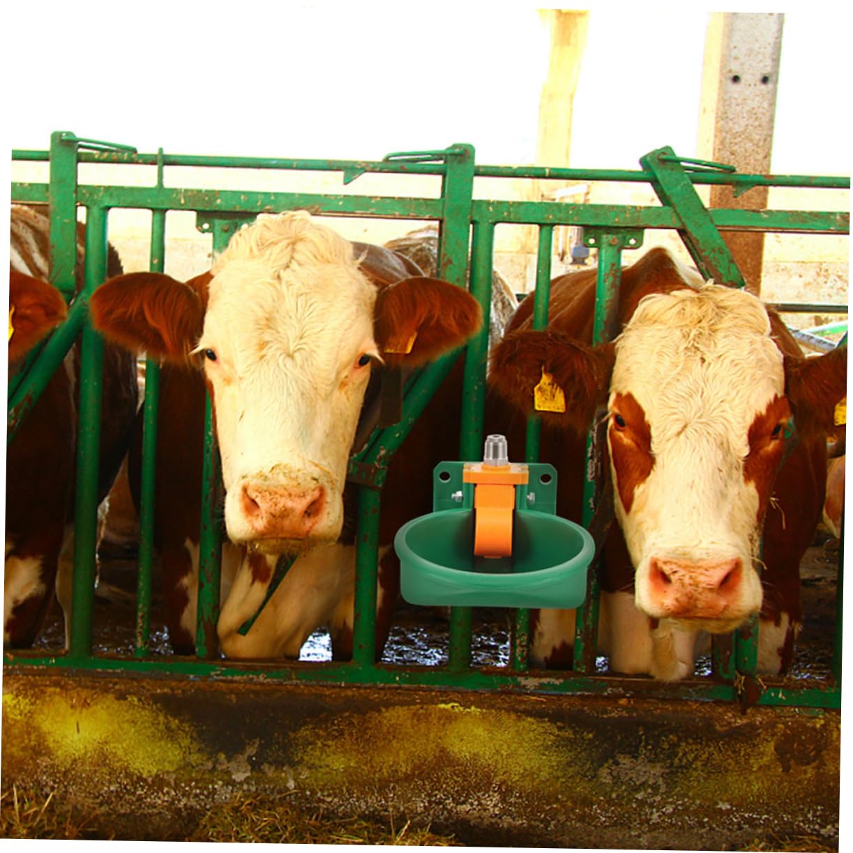 Didiseaon 2 Piezas Bebedero Automático Para Cerdos y Ovejas Comedero Automático De Plástico Para Cabras Bebederos Para Ganado Para Granjas y Establos