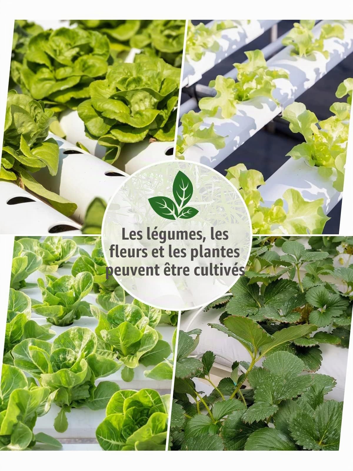 Kalolary Kit de Culture Hydroponique, 108 Emplacements de Plantes 12 Tuyaux Système D'irrigation de Culture Hydroponique pour Cultivation Hydroponique de Légumes sur Les Balcons Halls and Yards
