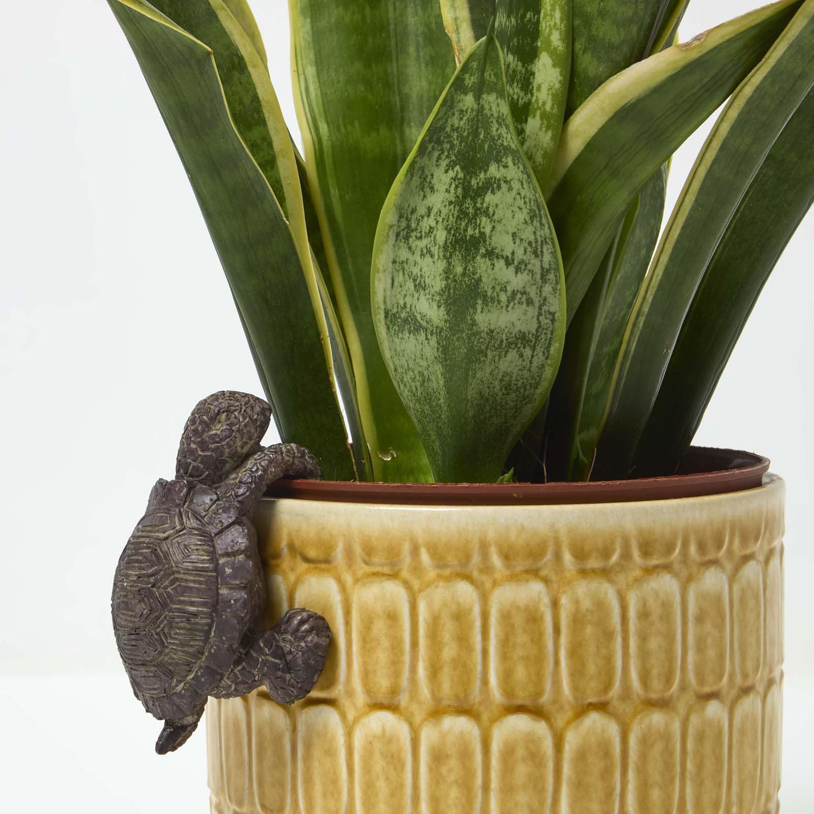 Homescapes Grey Tortoise Pot Hanger Decoration In