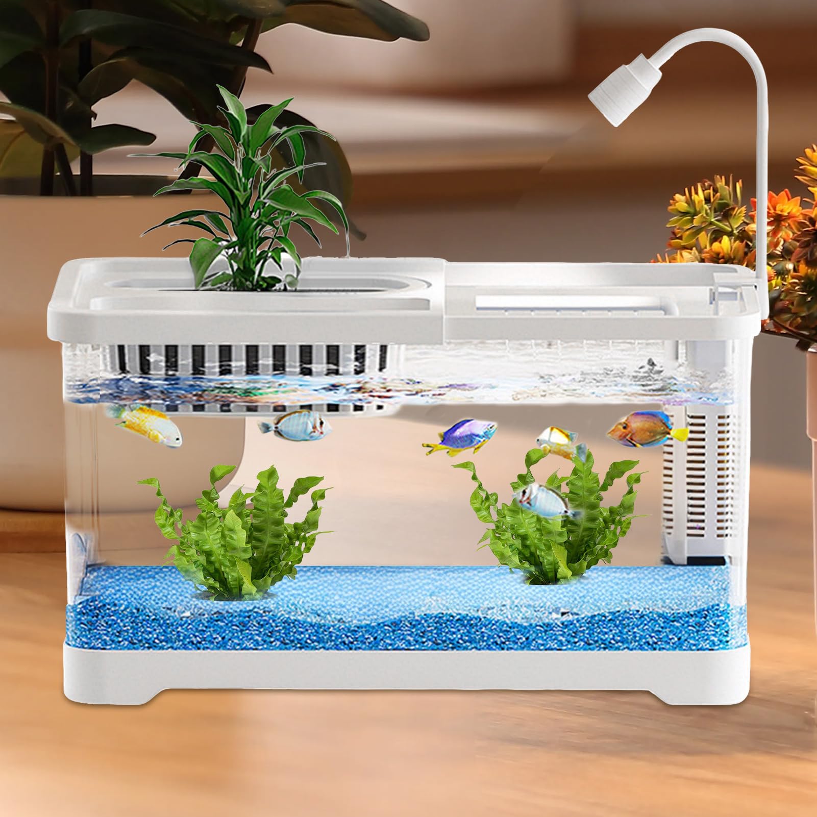 Petit aquarium – Paysage de poisson de combat, aquarium complet, bassin paysager clair pour guppys, escargots, tortues, amateurs d'animaux domestiques, débutants, bureau, appartement