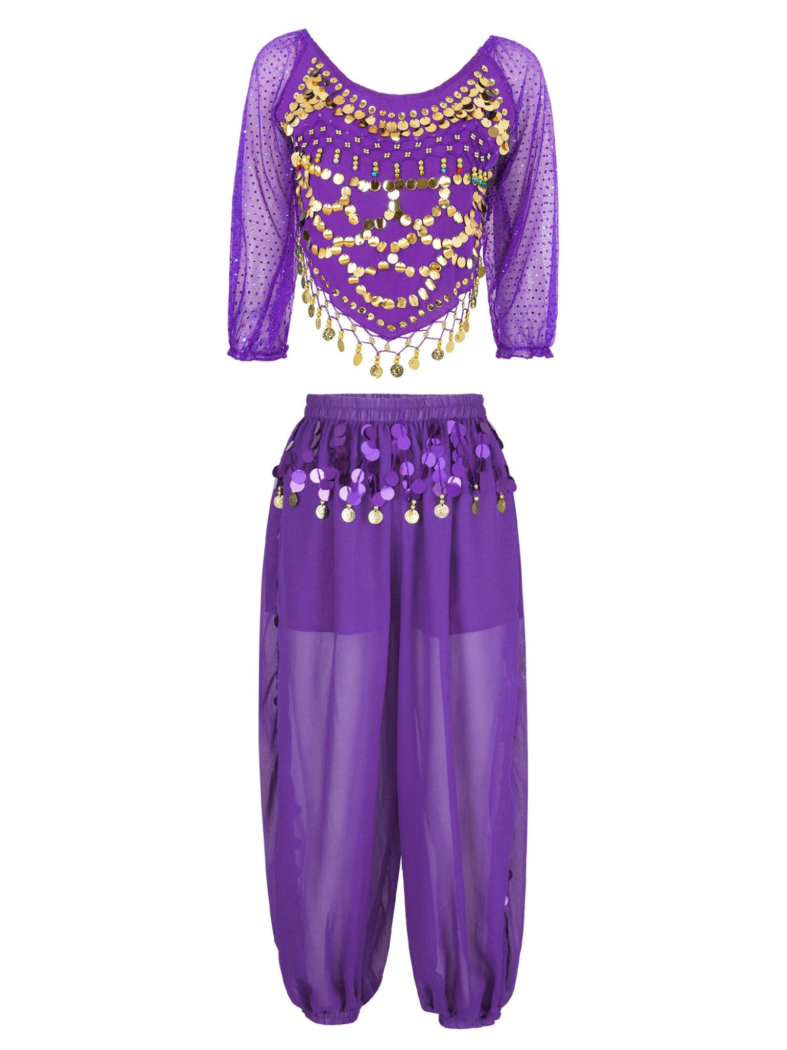 Costume Indien pour Femme pour La Danse du Ventre Ensemble Pièces Chemise Longs Manches Pantalons Lanterne pour Halloween