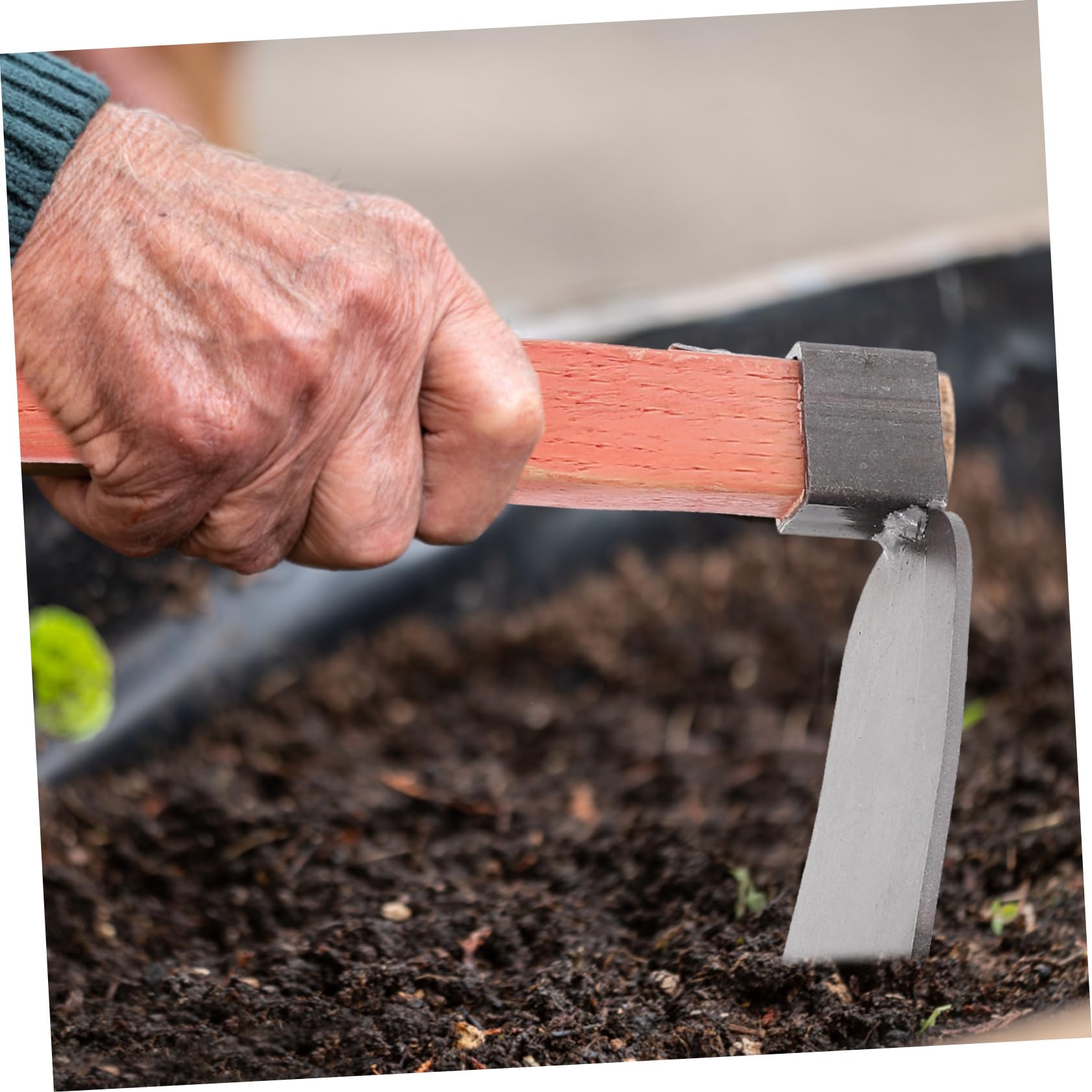 Giardino Leggera con Testa in Ferro e Manico in Legno Ergonomico Attrezzo Manuale per Diserbo e Scavare Terreno Zappetta Portatile per Orto e Piantagione Strumento per Cura Pian