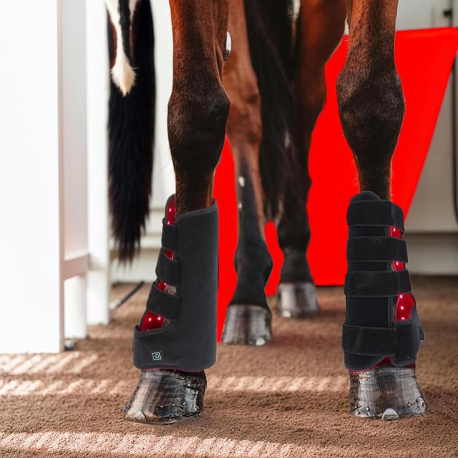 Buty do terapii światłem dla koni, wsparcie masażu LED do regeneracji mięśni, 2 szt., 660 nm, 850 nm, zastosowanie lewej i prawej nogi, opieka zdrowotna koni