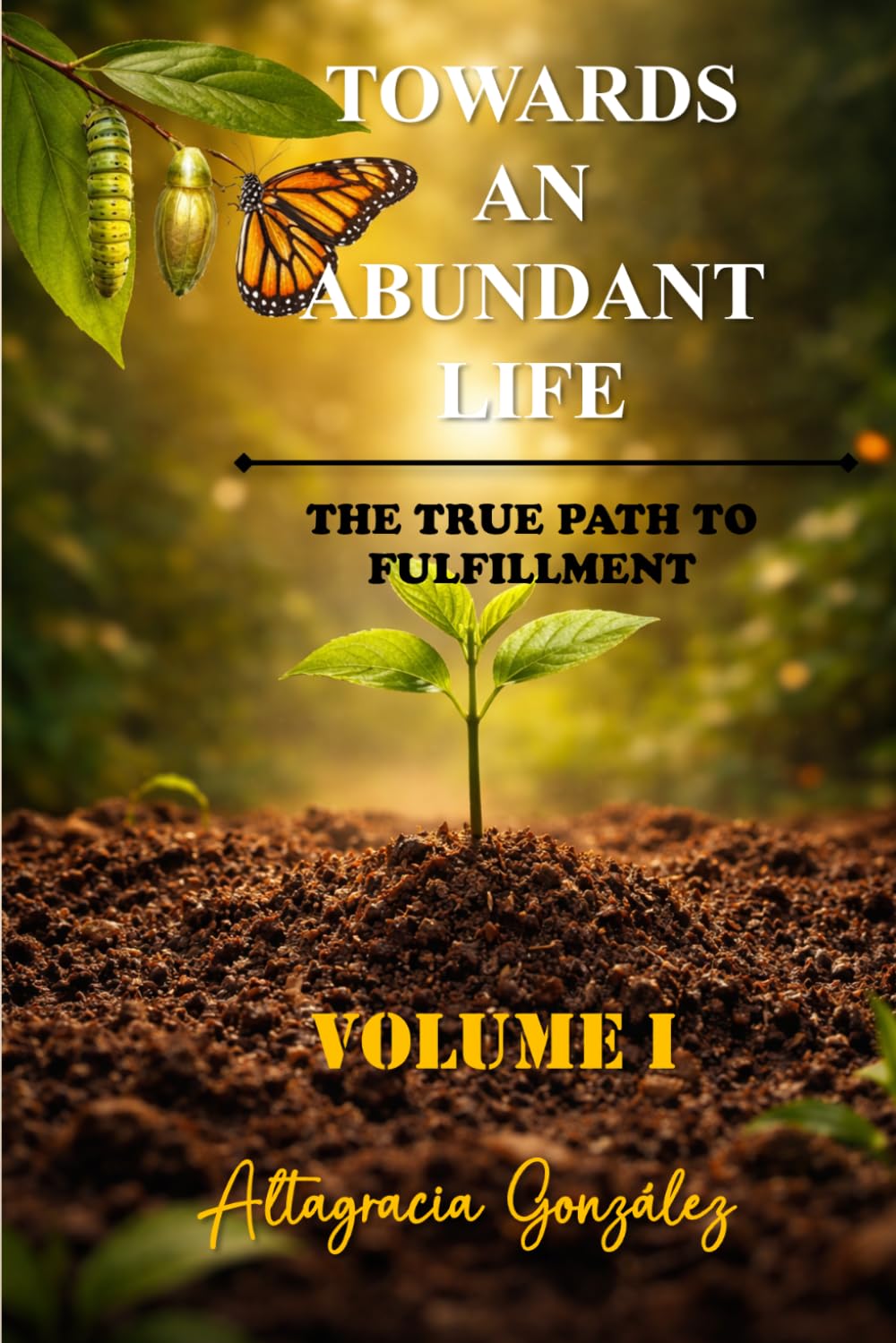 Towards An Abundant Life: The True Path To Fulfillment: 1