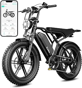 TST Electric Bike