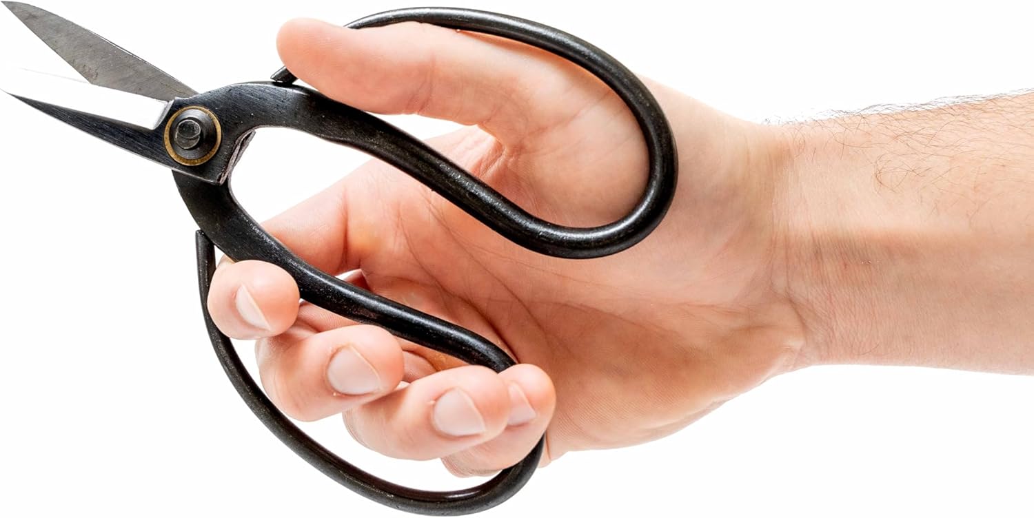 Air Plant Shop Bonsai-Style Pruning Scissors for Tillandsia Air Plants - Wholesale and Bulk - Succulents - Live Tillandsia - Easy Care Indoor and Outdoor House Plants