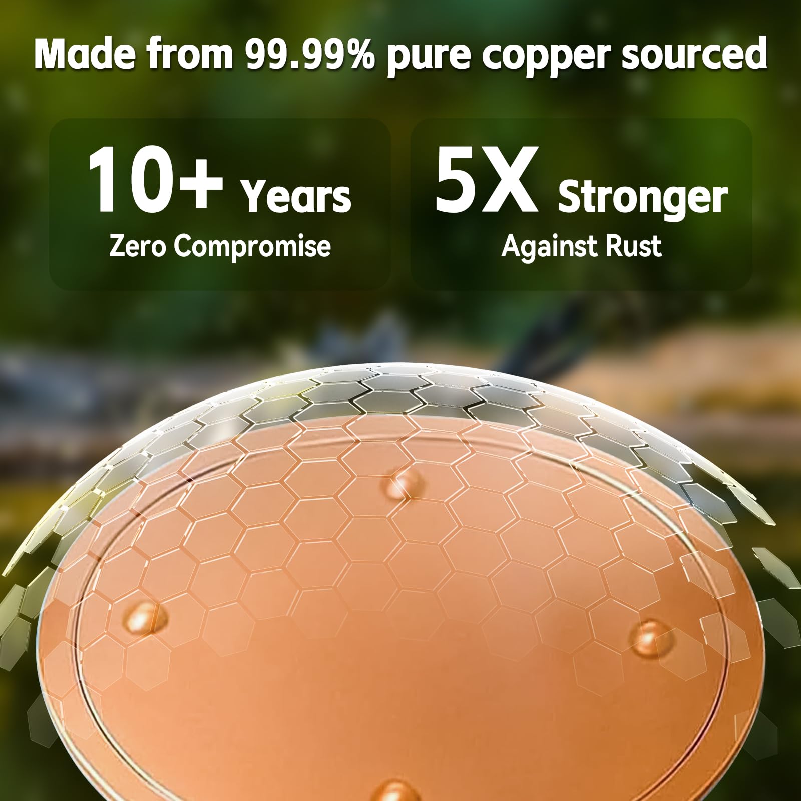 Lot de 6 disques de purification pour bain d'oiseaux, 99,99 % cuivre pur, 0,6 mm, garde l'eau propre et fraîche pour intérieur extérieur, jardin, cour, terrasse