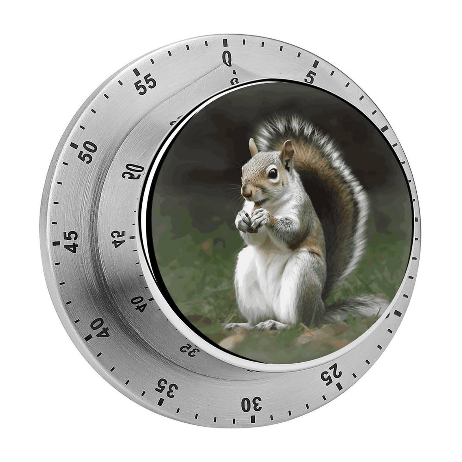 Squirrel Timer Loud Mechanical Timer Stainless Steel 60-Minute Kitchen Timers Waterproof Chef Cooking Timers Sport Countdown Clock Portable Countdown Alarm Adult