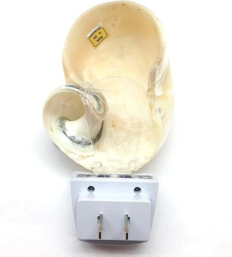 Miniatura 7 de PEPPERLONELY Amarillo Copa Mexicana Conchas de Mar Luz Nocturna Luz Nocturna Náutica Natural Concha Playa Decoración del Hogar