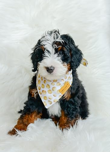 Miniatura 5 de Willow Creek Pet Apparel Bufanda bandana para perros y cachorros  Paquete de 4 unidades de lujo  Tela duradera de doble capa  Bonita y moderna