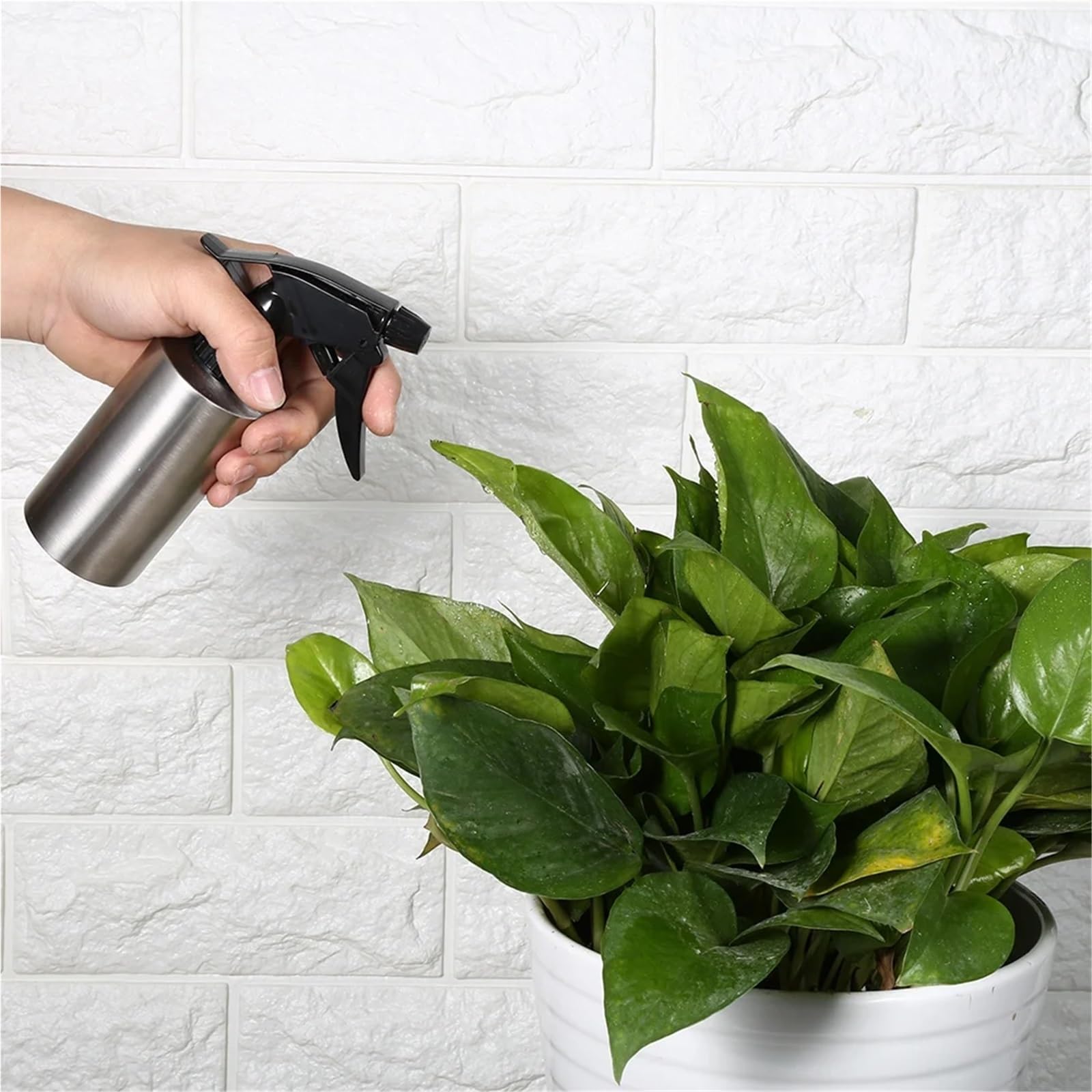 Pulverizador Botella de riego for plantas, de acero inoxidable, multifuncional, con bomba a presión, for flores(550ml)