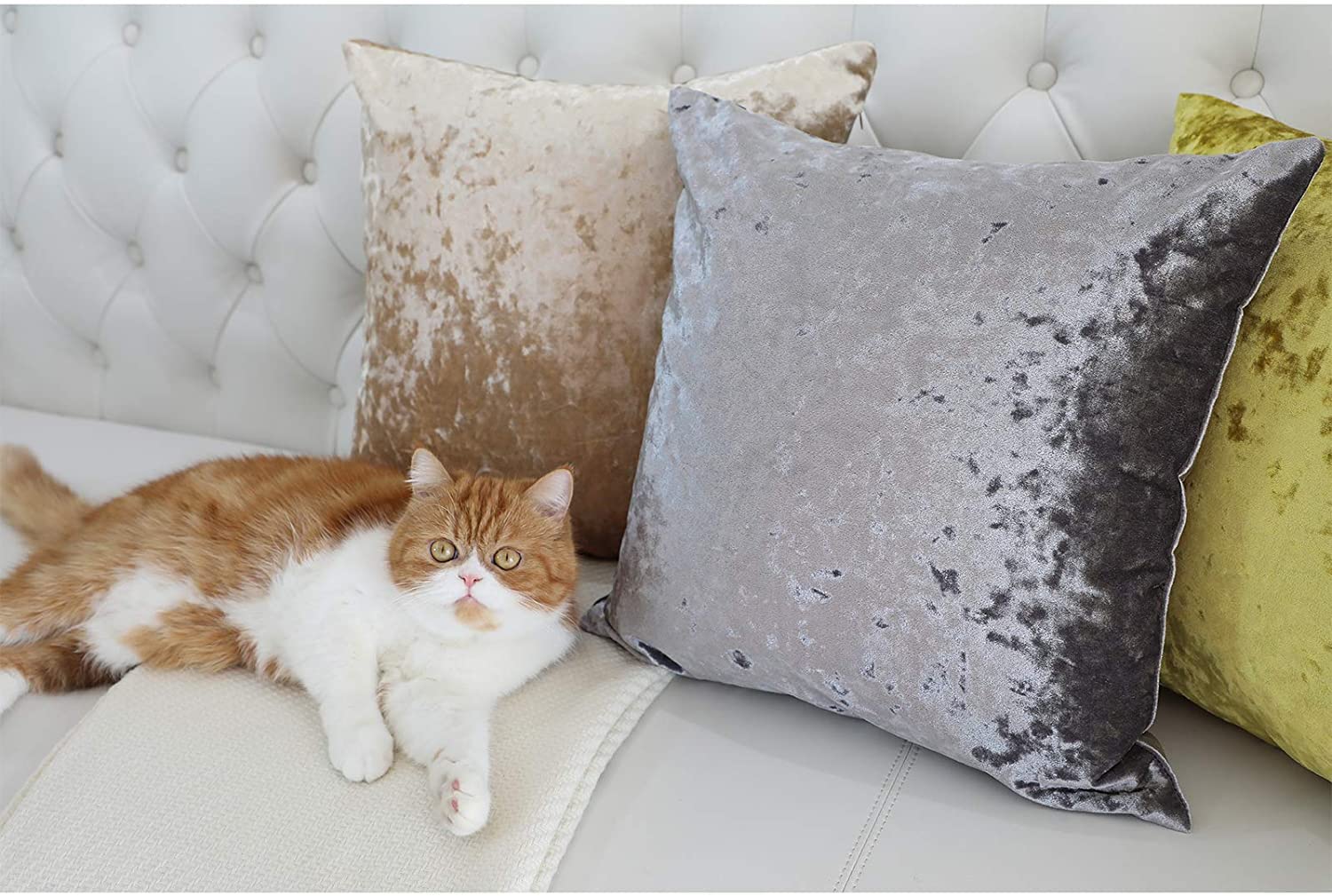 RKAAS HOME Super Soft Decorative Luxurious Crushed Ice Velvet Square Cushion Cover for Living Room Sofa Couch Bed 40cm x 40cm 16x16 Inches (Pack of 4 - Image 4