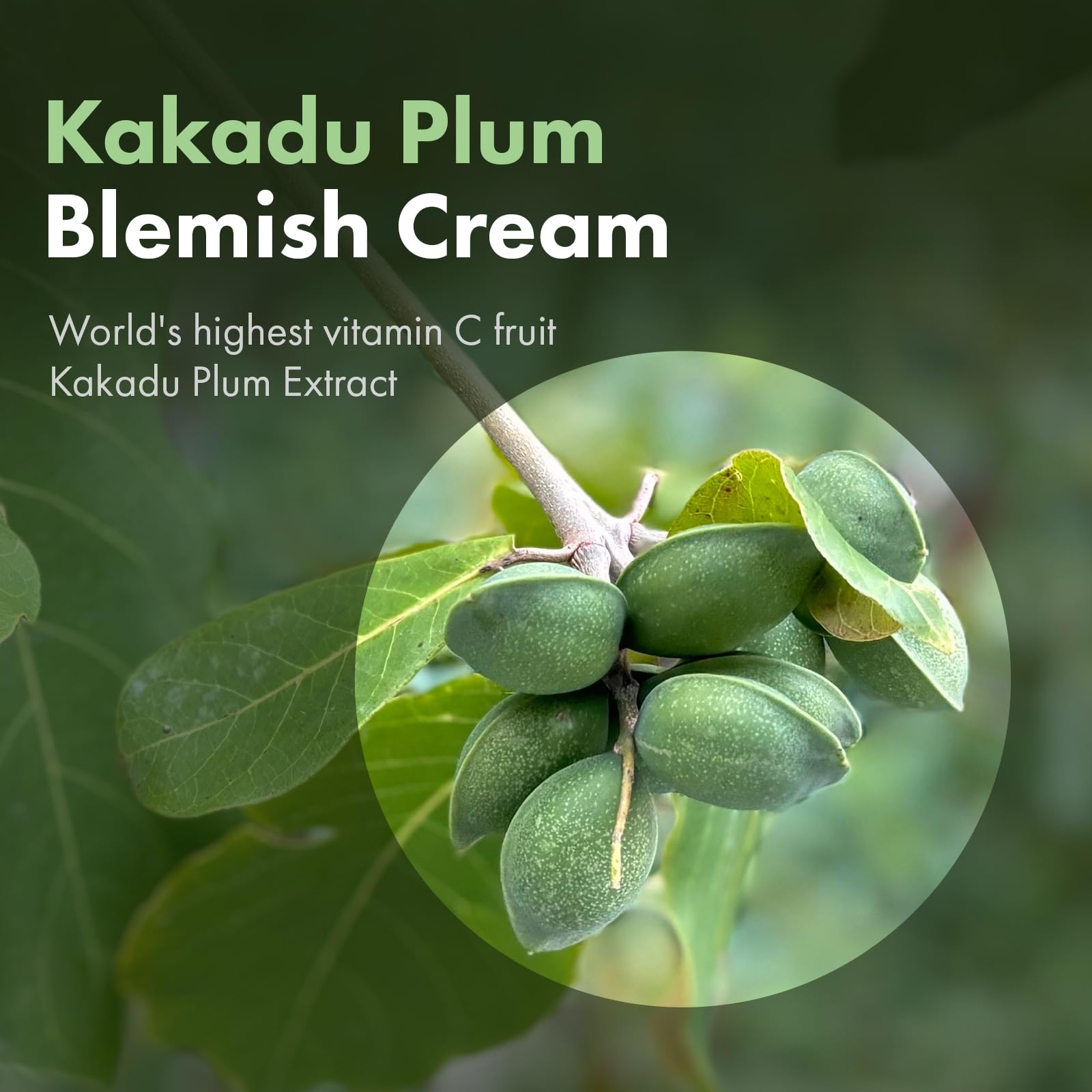 TOSOWOONG Kakadu Plum Blemish Cream, Dark Spot Remover for Face Cream Kakadu Plum 600,000ppm, Niacinamide, Adenosine, Betaine - Image 4