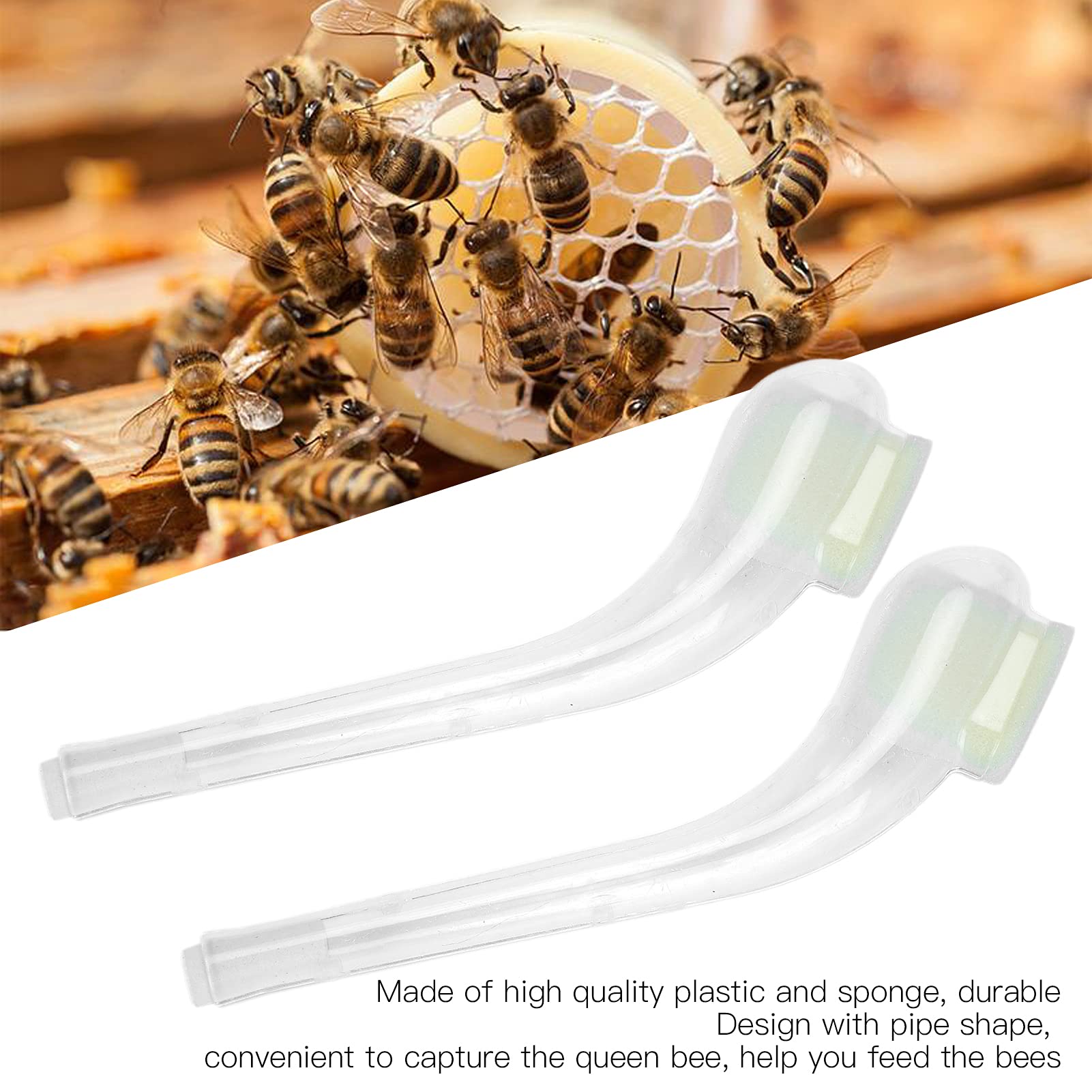 Queen Catcher Pipe en Plastique - 10 Pièces - Équipement D'apiculture Professionnel - Cage à Reine pour la Capture et l'Élevage de Mouches à Miell