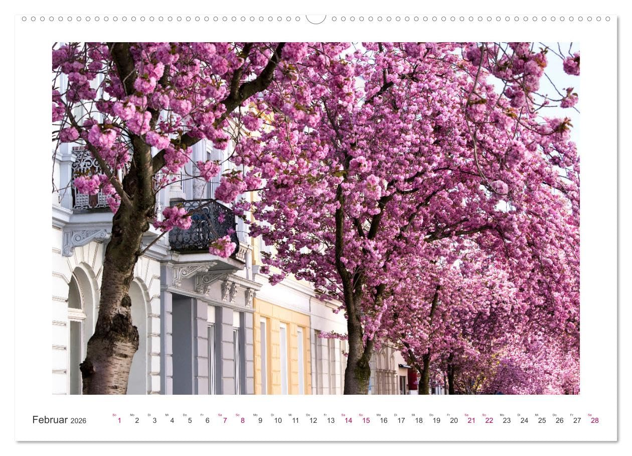 Japanische Kirschblüte in Bonn (hochwertiger Premium Wandkalender 2026 DIN A2 quer), Kunstdruck in Hochglanz: Die Altstadt erstrahlt in Pink und Rosa (CALVENDO Orte)