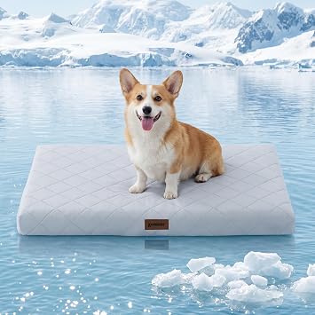ZOMISIA Orthopedic Cooling Dog Beds Large Sized Dog, Q-Max>0.5 Cooling Mat with Removable Washable Cover, Breathable Egg Crate Foam Non-Slip Summer Pad for for Furry Pets Outdoor, 35x22 Inch, Grey