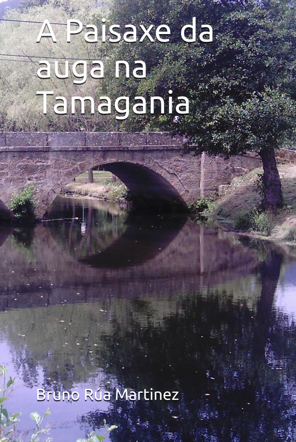 A Paisaxe da auga na Tamagania (COLECCIÓN TABOADA CHIVITE DE PATRIMONIO)