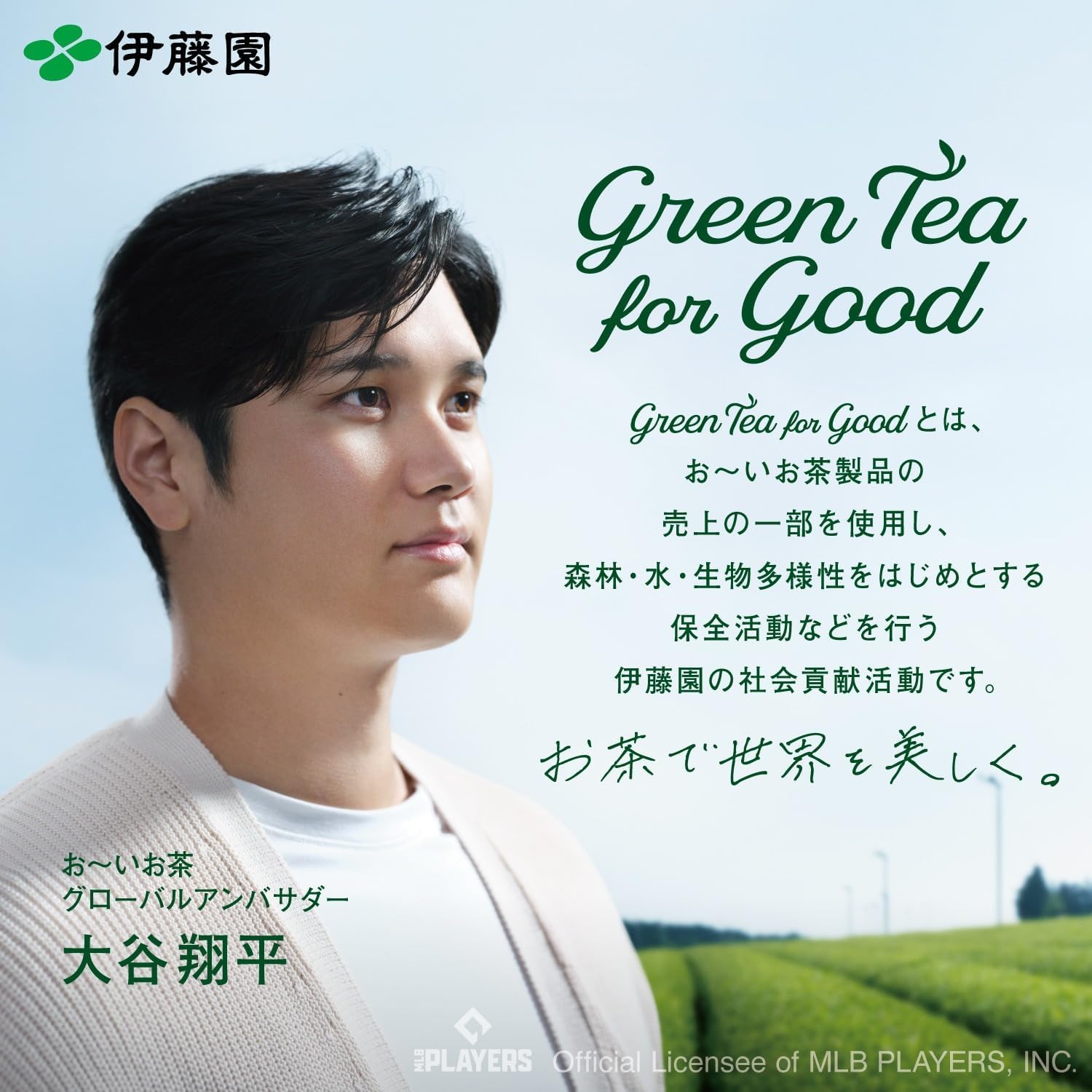 Yugen 抹茶 粉末緑茶 40g Amazon.co.jp: 伊藤園 おーいお茶 抹茶入り緑茶 粉末 40g チャック付き