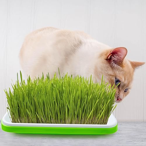 Miniatura 6 de UCandy Paquete de 4 bandejas de germinación de semillas con tapa, tapete de cultivo de fibra de cáñamo, kit de bandeja de germinación de semillas,