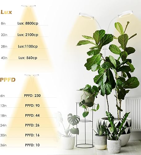 Miniatura 7 de GLOWRIUM Luces de cultivo para plantas de interior, luces de espectro completo con clip, altura ajustable y modo de 3 espectros, temporizador