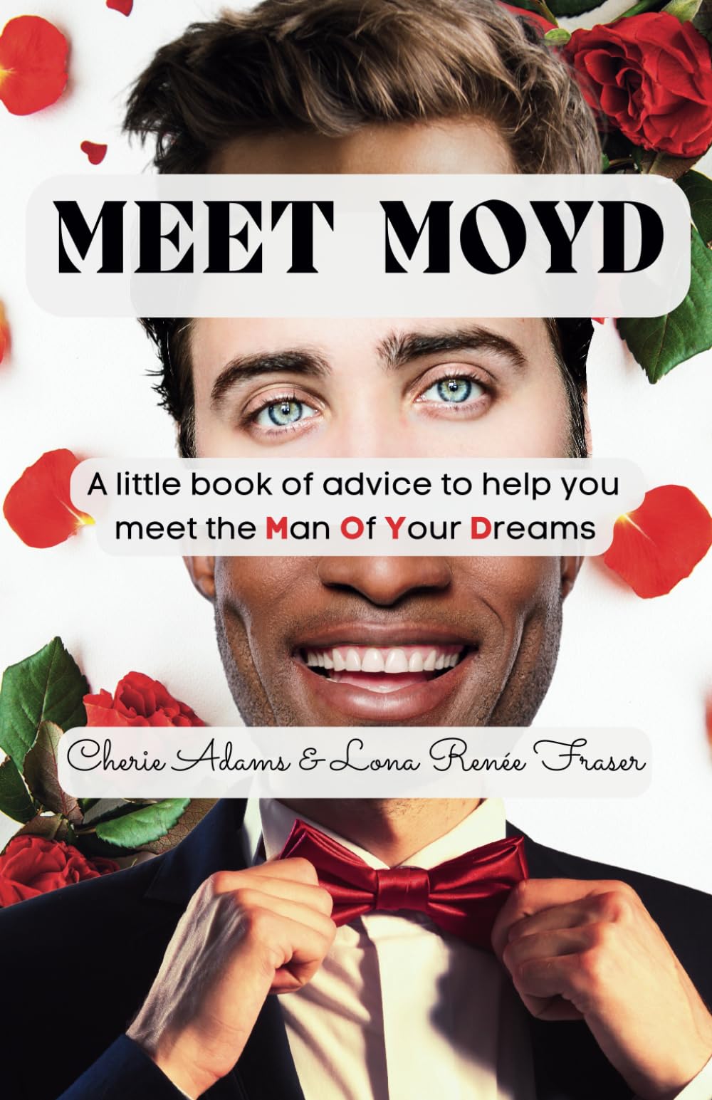MEET MOYD: A little book of advice to help you meet the Man Of Your Dreams