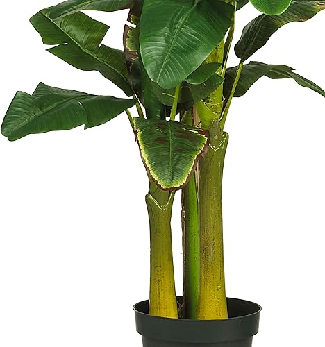 Miniatura 3 de Nearly Natural 5226 Árbol de seda de plátano con tallo triple de 6 pies, verde, 53.25 x 13 x 11.5 pulgadas