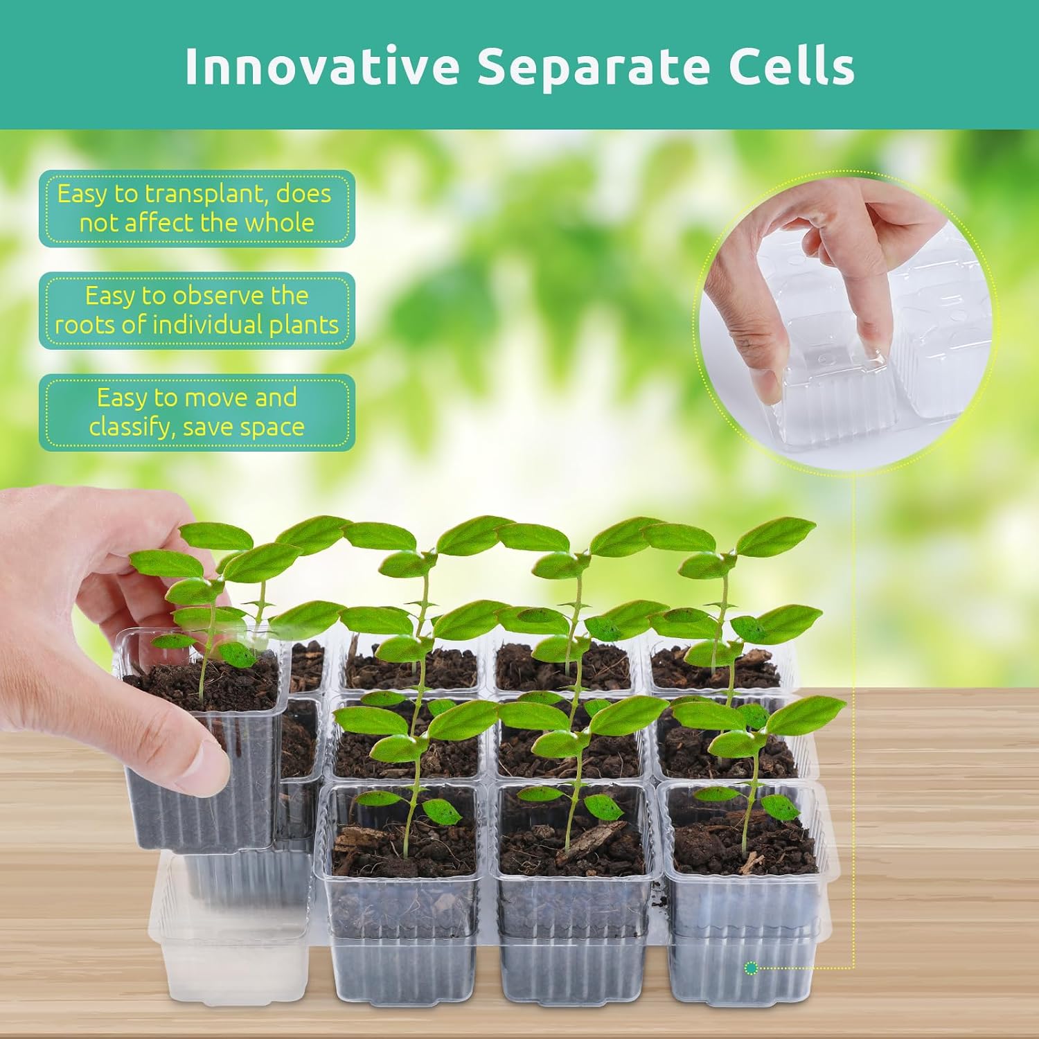 7 Packs Seed Starter Tray, 84 Separate Cells Seedling Starter Trays Kit with Humidity Dome and Base Indoor Greenhouse Mini Propagator, Reusable Seedling Tray for Plants Indoor-Clear